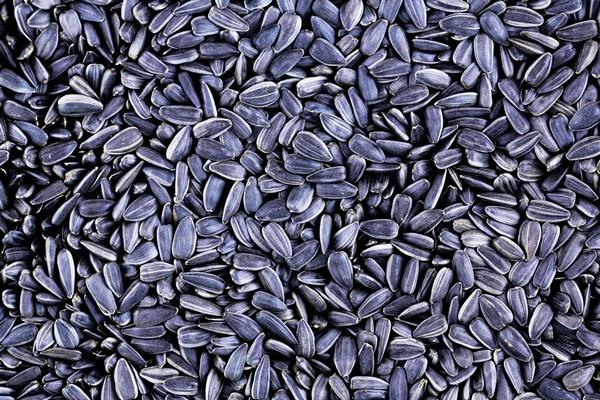 Global Sunflower Seed Market to Reach 73M Tons by 2030 with 3.8% CAGR Growth